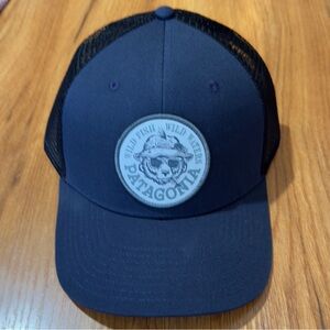 Patagonia Navy Blue Trucker Hat